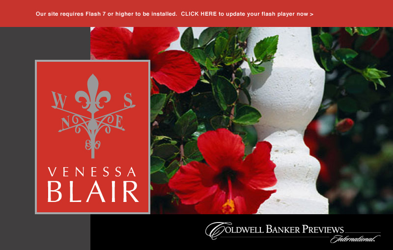 Venessa Blair Realtor
